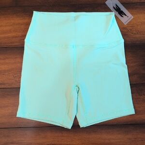 Elite Eleven Mint Shorts Size Small